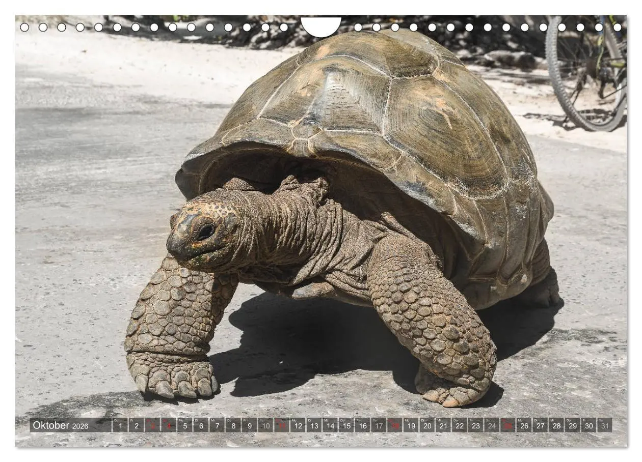 Bild: 9783457934241 | Seychellen - Das letzte Paradies auf Erden (Wandkalender 2026 DIN...