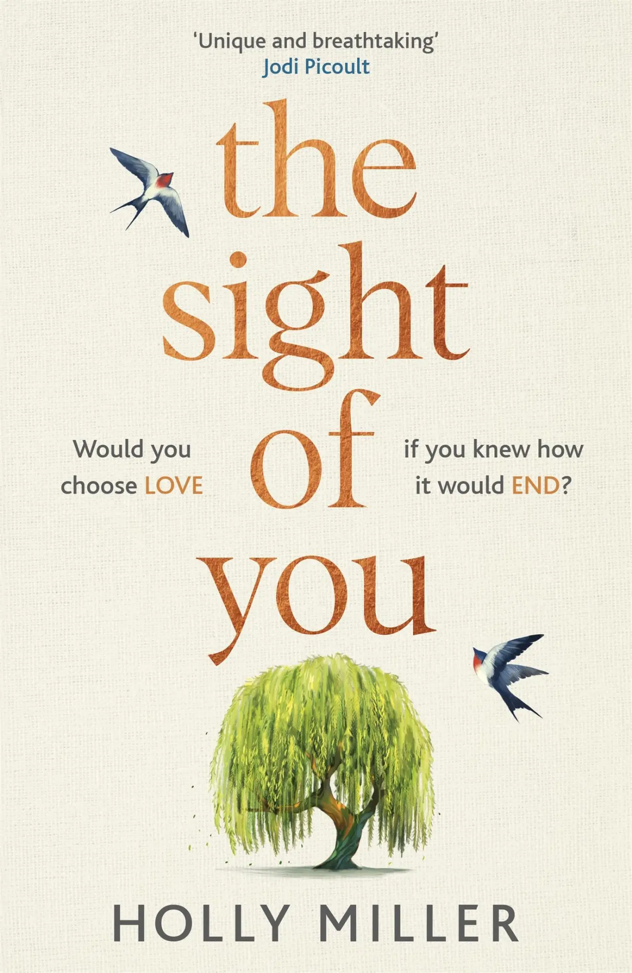 Cover: 9781529324341 | The Sight of You | Holly Miller | Buch | Gebunden | Englisch | 2020