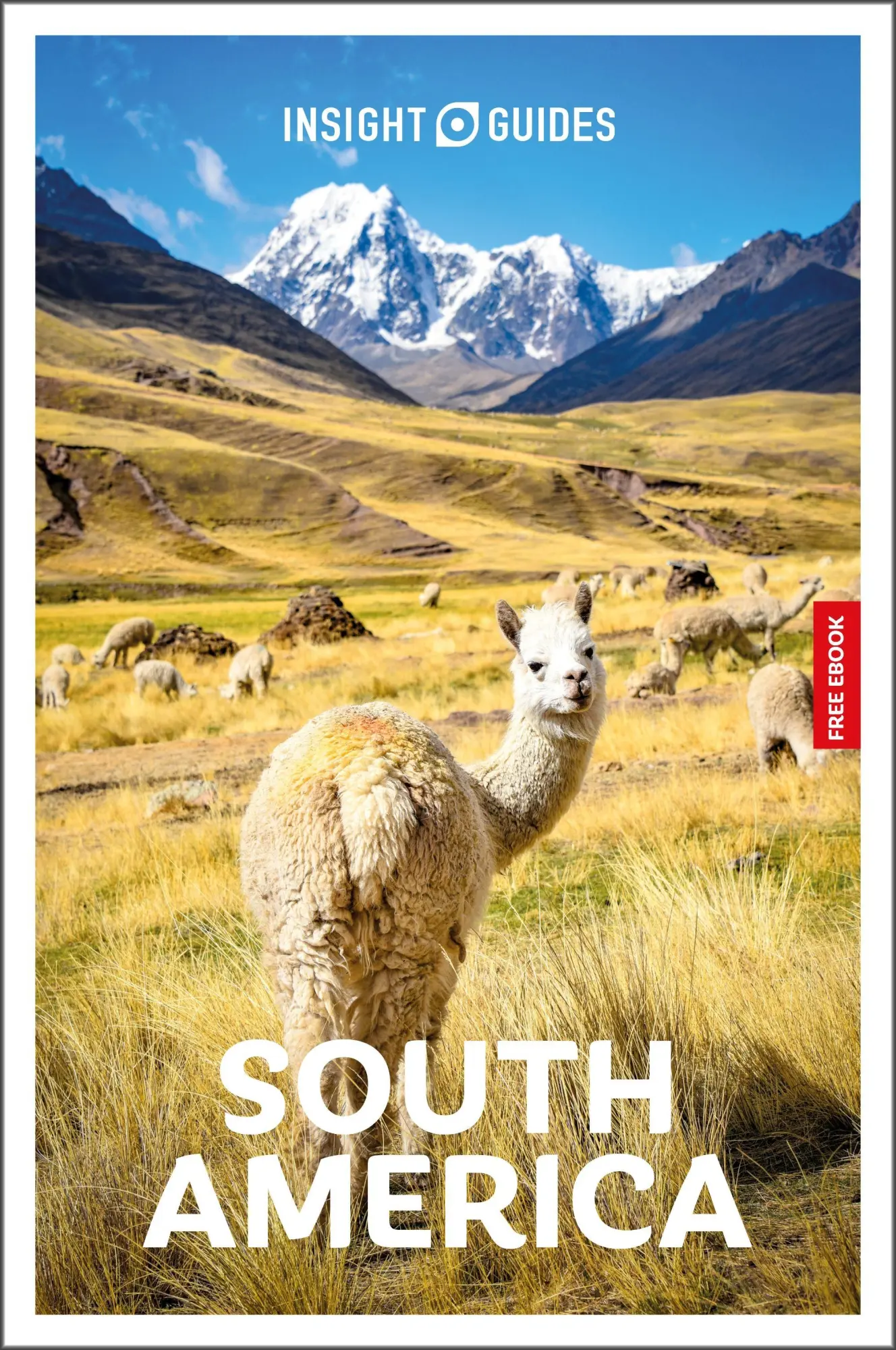 Cover: 9781839054341 | Insight Guides South America: Travel Guide with eBook | Robert Savage