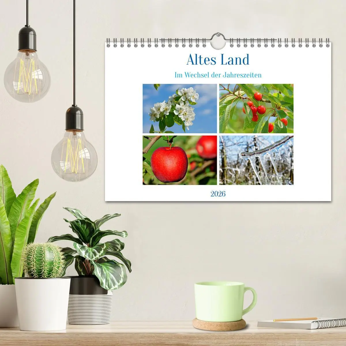 Bild: 9783457544341 | Altes Land im Wechsel der Jahreszeiten (Wandkalender 2026 DIN A4...