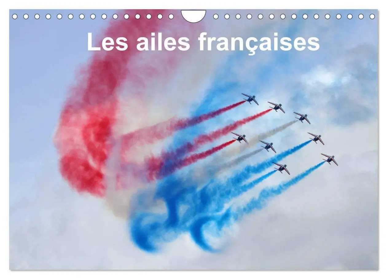 Cover: 9783516564341 | Les ailes françaises (Calendrier mural 2026 DIN A4 vertical),...