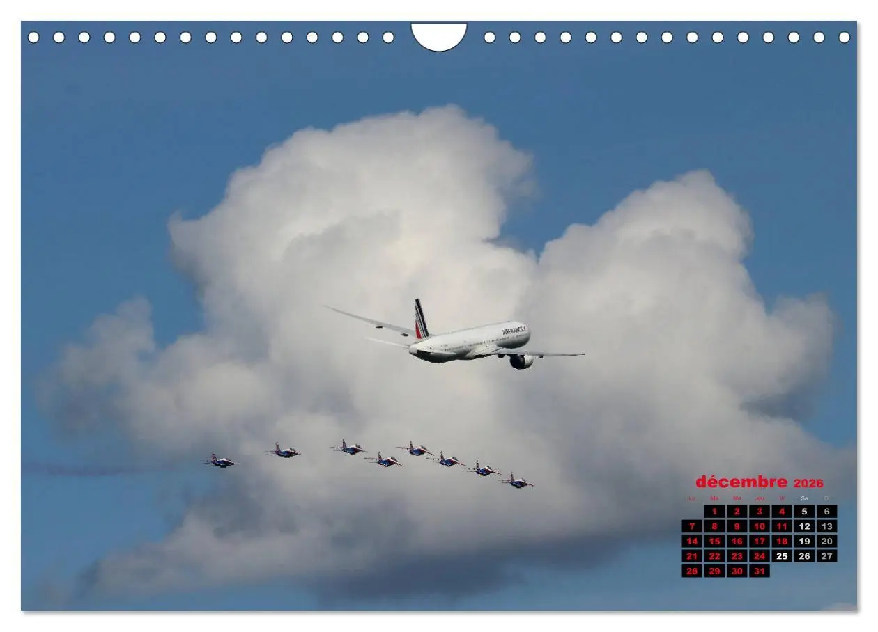 Bild: 9783516564341 | Les ailes françaises (Calendrier mural 2026 DIN A4 vertical),...