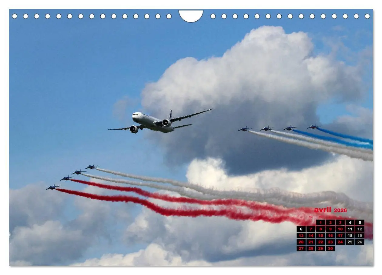 Bild: 9783516564341 | Les ailes françaises (Calendrier mural 2026 DIN A4 vertical),...
