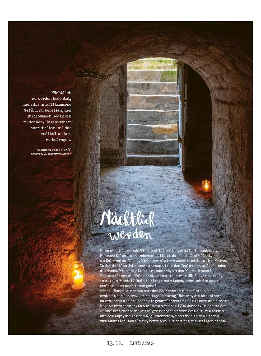 Bild: 4251693904441 | Lichtungen Advent 2025 | Stephanie Brall (u. a.) | Kalender | 44 S.