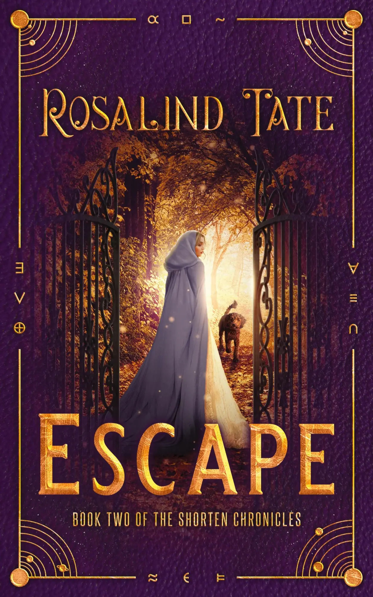 Cover: 9781838054441 | Escape | A Time Travel Romance | Rosalind Tate | Taschenbuch | 2021