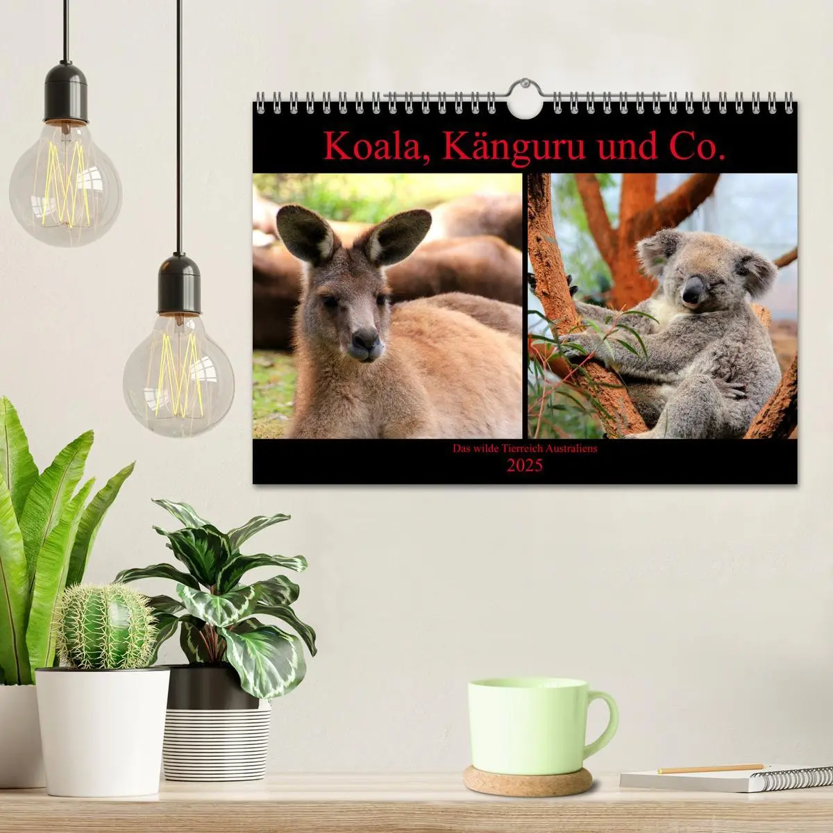 Bild: 9783435444441 | Koala, Känguru und Co. ¿ Das wilde Tierreich Australiens...