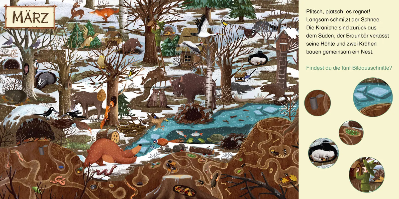 Bild: 9783551034441 | Maxi Pixi 521: Wimmelspaß. Ein Jahr im Wald | Emilia Dziubak | Buch