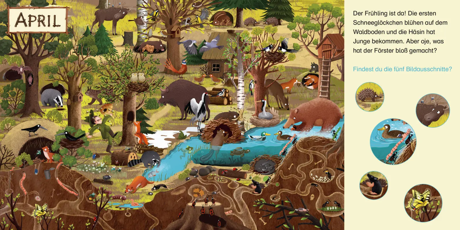 Bild: 9783551034441 | Maxi Pixi 521: Wimmelspaß. Ein Jahr im Wald | Emilia Dziubak | Buch