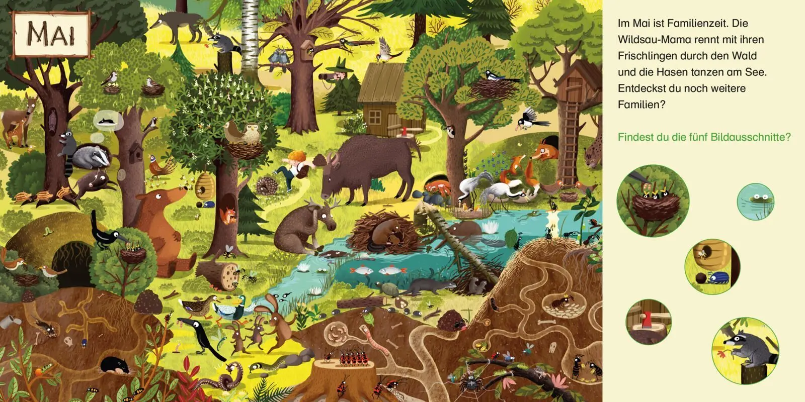 Bild: 9783551034441 | Maxi Pixi 521: Wimmelspaß. Ein Jahr im Wald | Emilia Dziubak | Buch