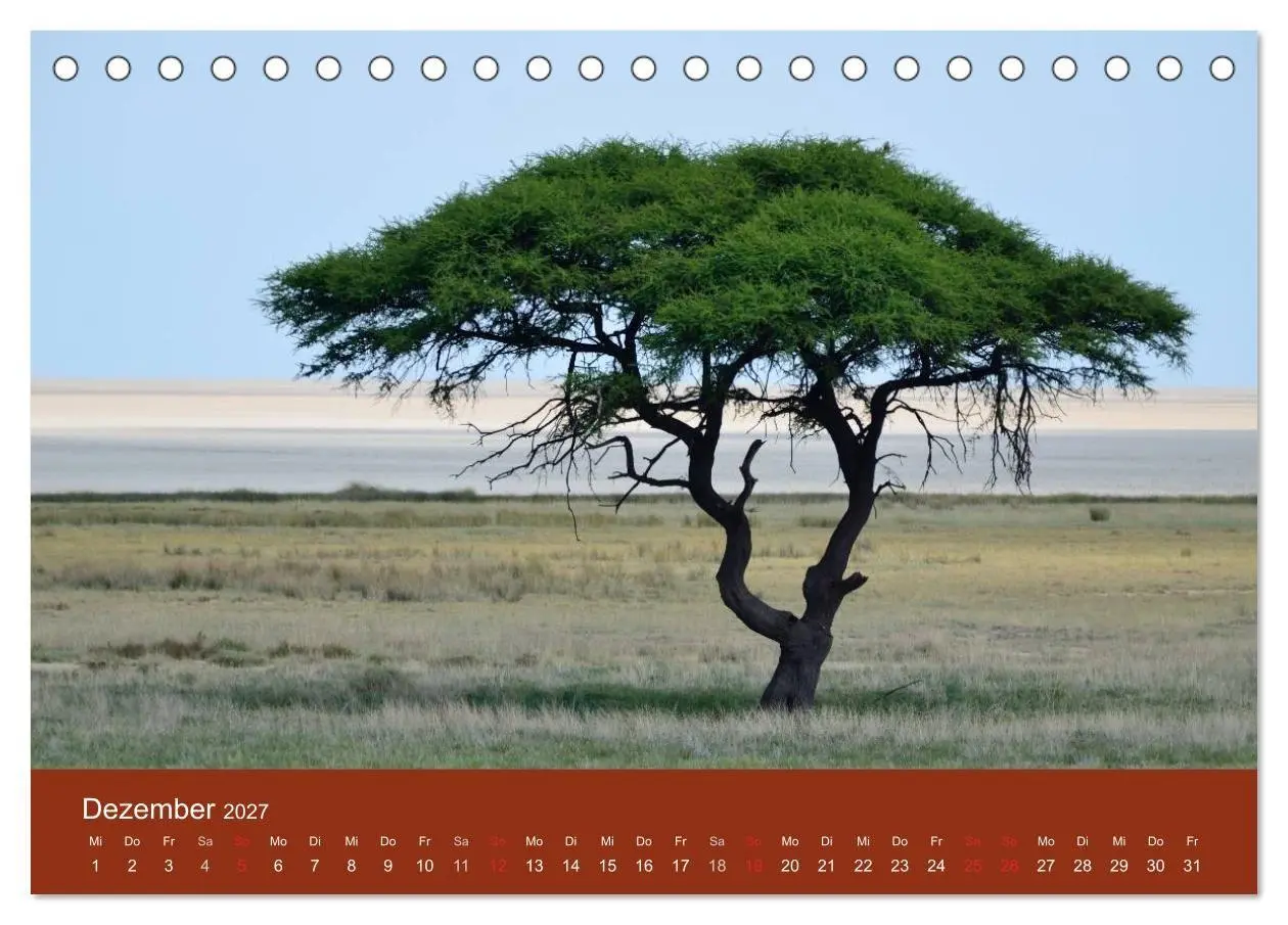 Bild: 9783594224441 | Namibia (Tischkalender 2027 DIN A5 quer), CALVENDO Monatskalender