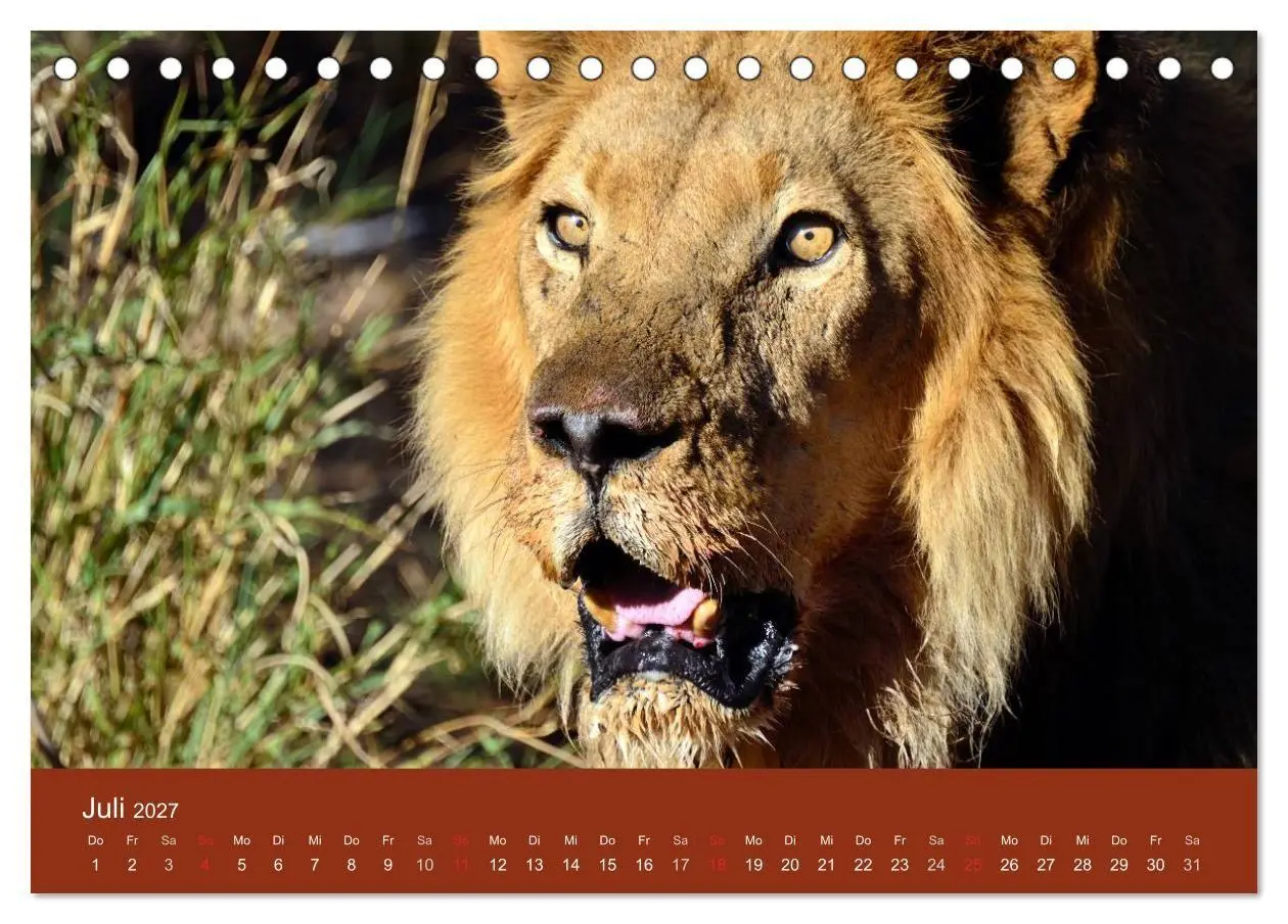 Bild: 9783594224441 | Namibia (Tischkalender 2027 DIN A5 quer), CALVENDO Monatskalender