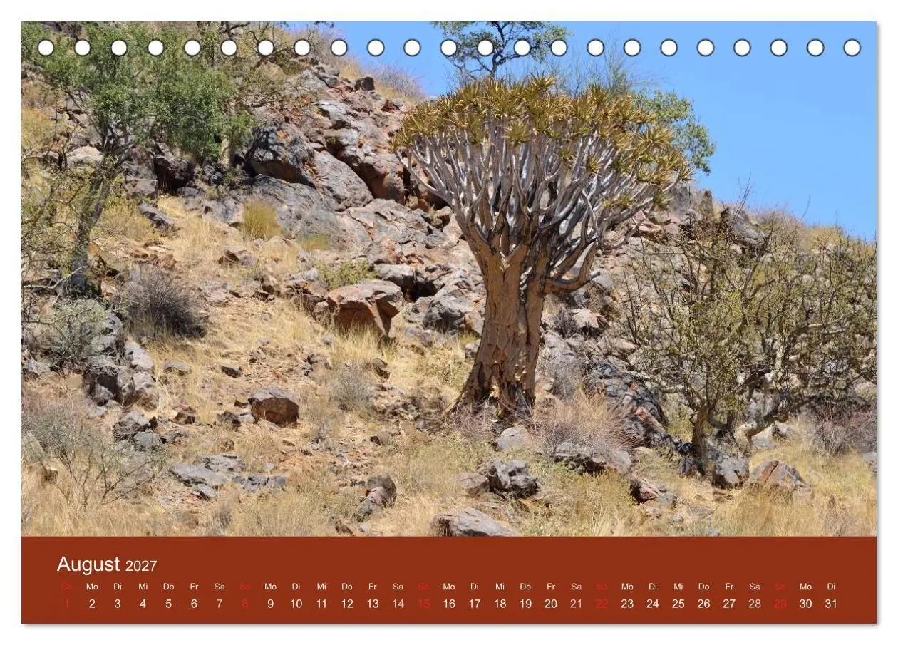 Bild: 9783594224441 | Namibia (Tischkalender 2027 DIN A5 quer), CALVENDO Monatskalender