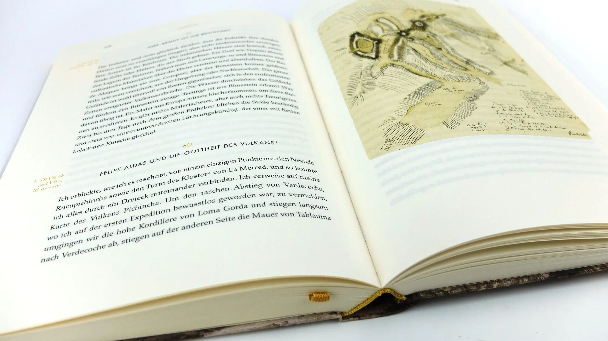 Bild: 9783717524441 | Das Buch der Begegnungen | Alexander Von Humboldt | Buch | 416 S.