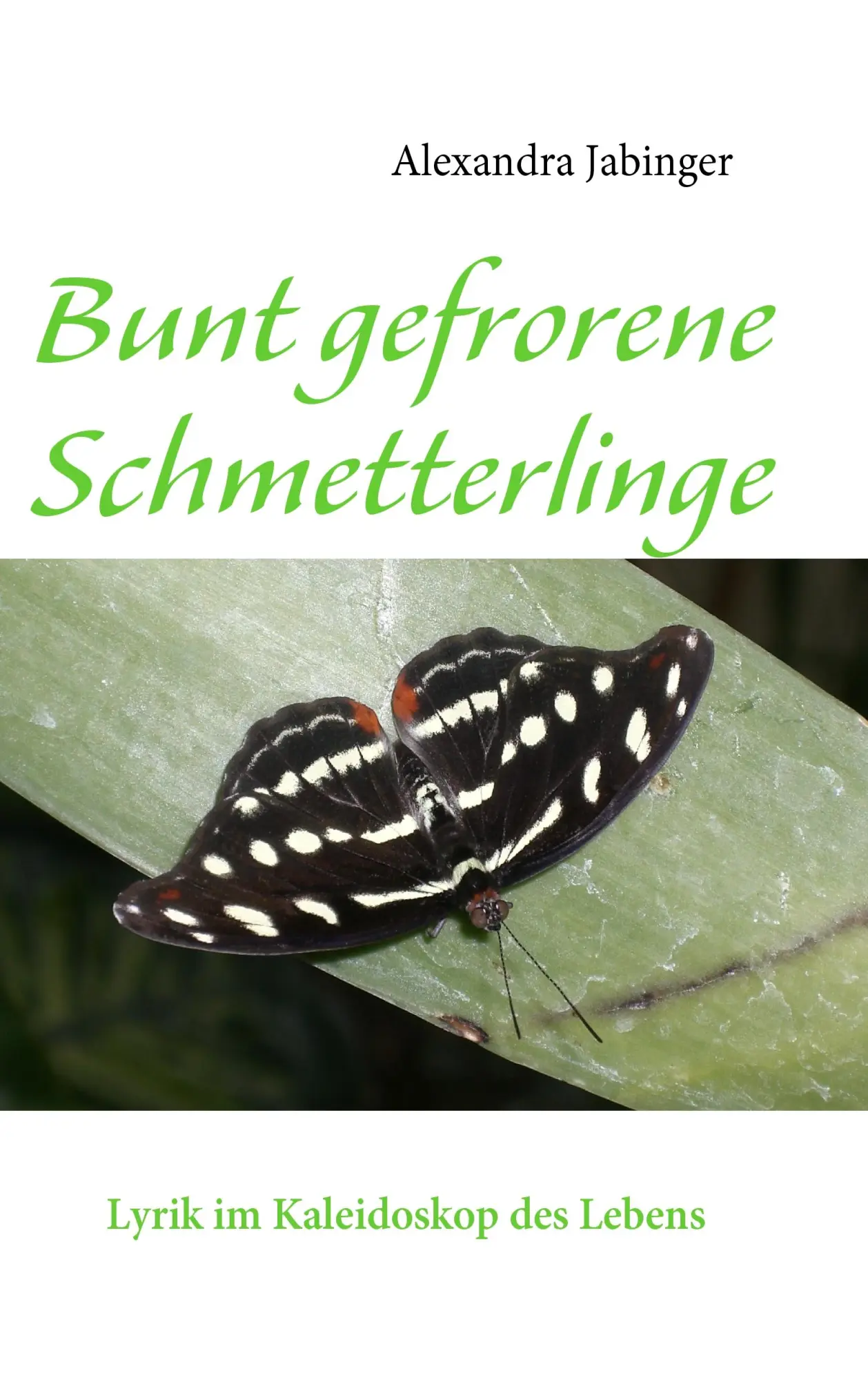 Cover: 9783837004441 | Bunt gefrorene Schmetterlinge | Lyrik im Kaleidoskop des Lebens | Buch