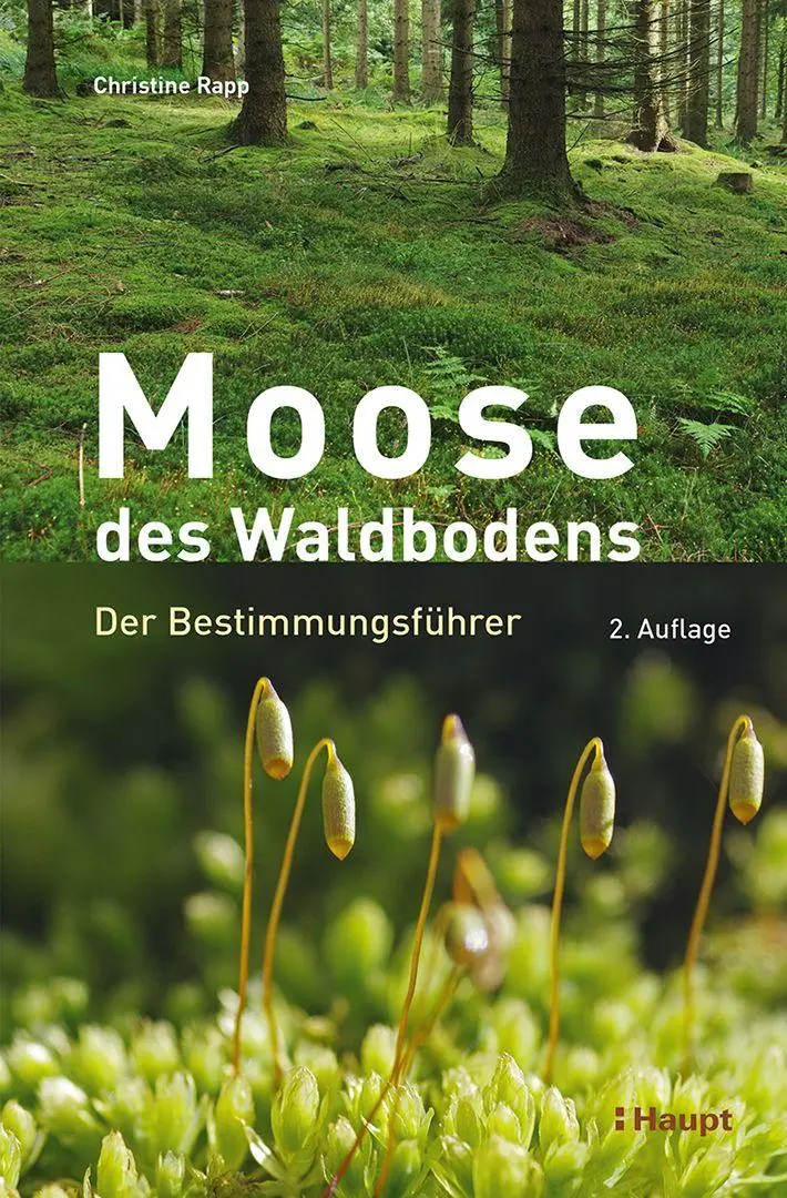 Cover: 9783258084541 | Moose des Waldbodens | Der Bestimmungsführer | Christine Rapp | Buch