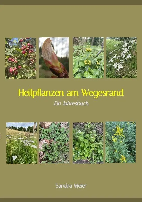 Cover: 9783384884541 | Heilpflanzen am Wegesrand | Ein Jahresbuch | Sandra Meier | Buch