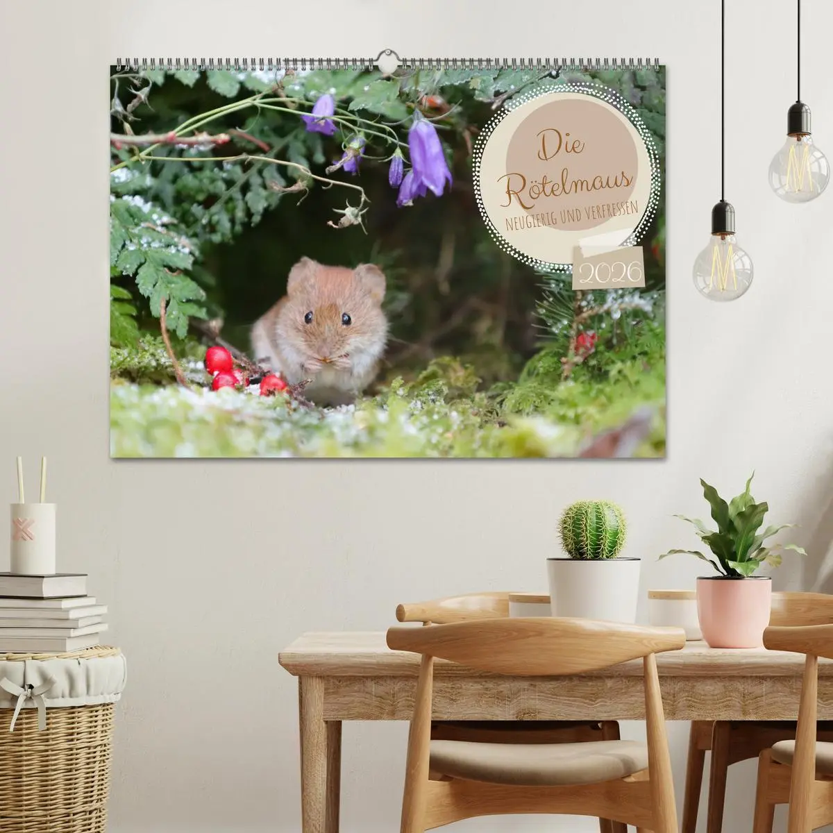 Bild: 9783457524541 | Die Rötelmaus - neugierig und verfressen (Wandkalender 2026 DIN A2...