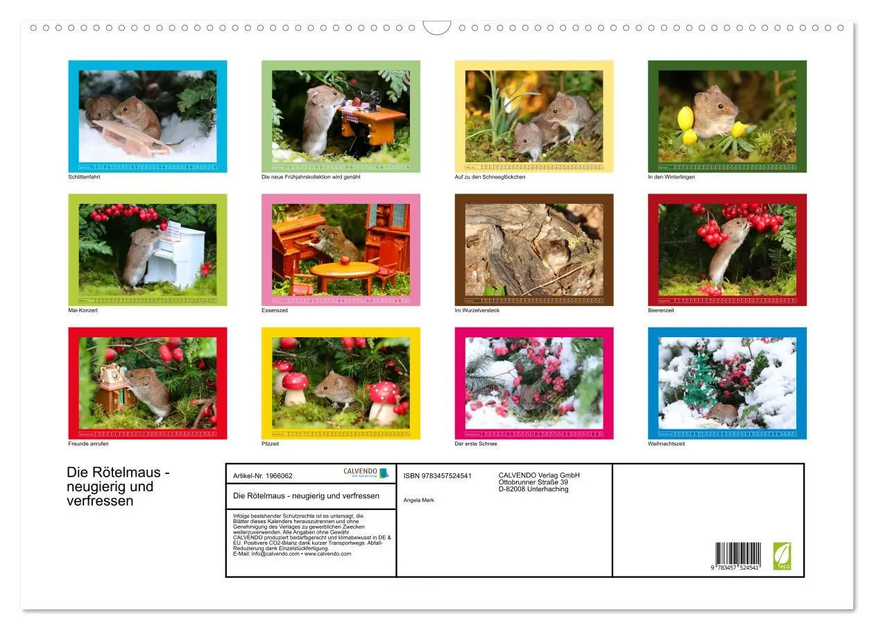 Bild: 9783457524541 | Die Rötelmaus - neugierig und verfressen (Wandkalender 2026 DIN A2...