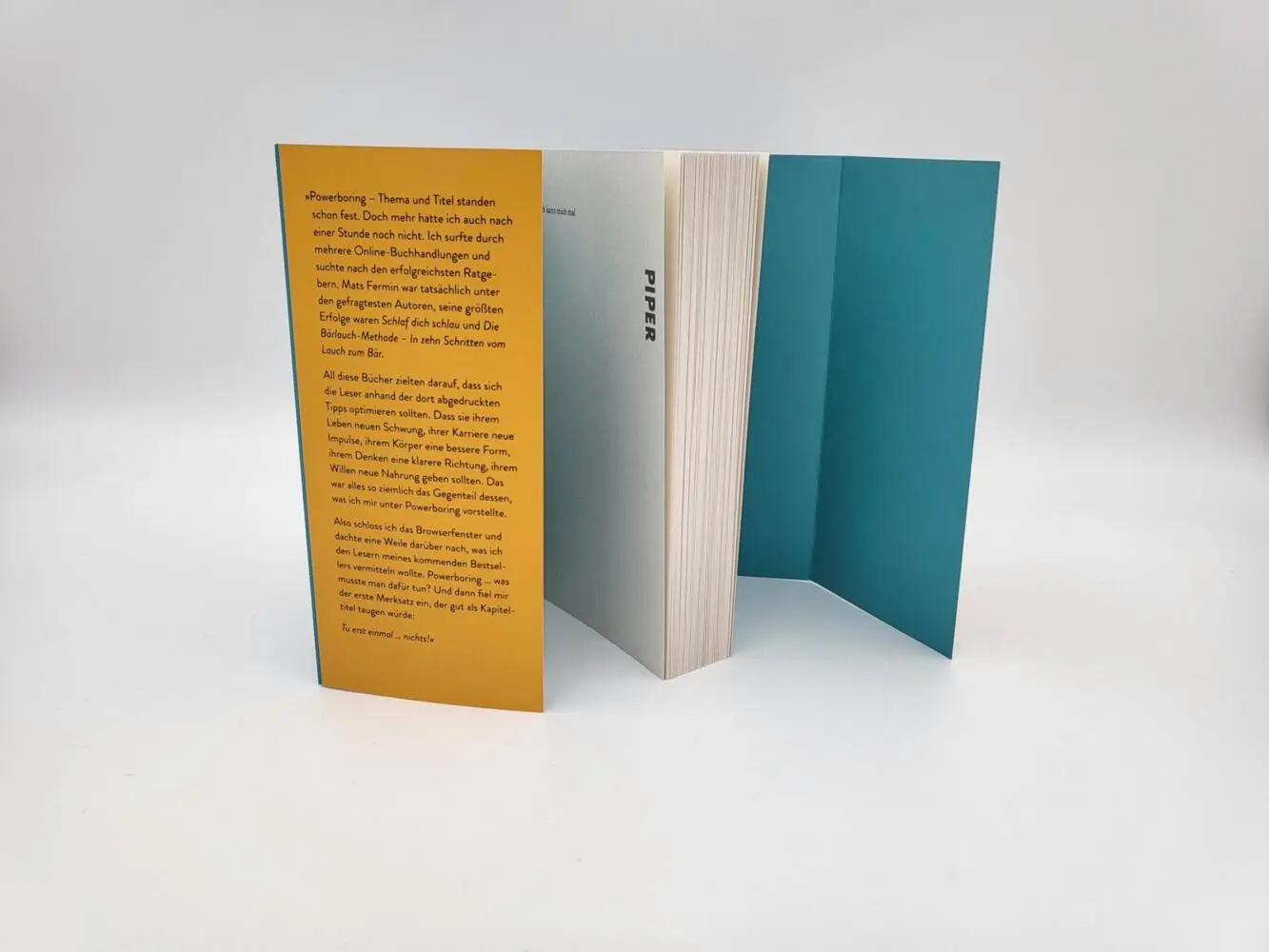 Bild: 9783492314541 | Mein perfektes Ich kann mich mal | Jürgen Seibold | Taschenbuch | 2022