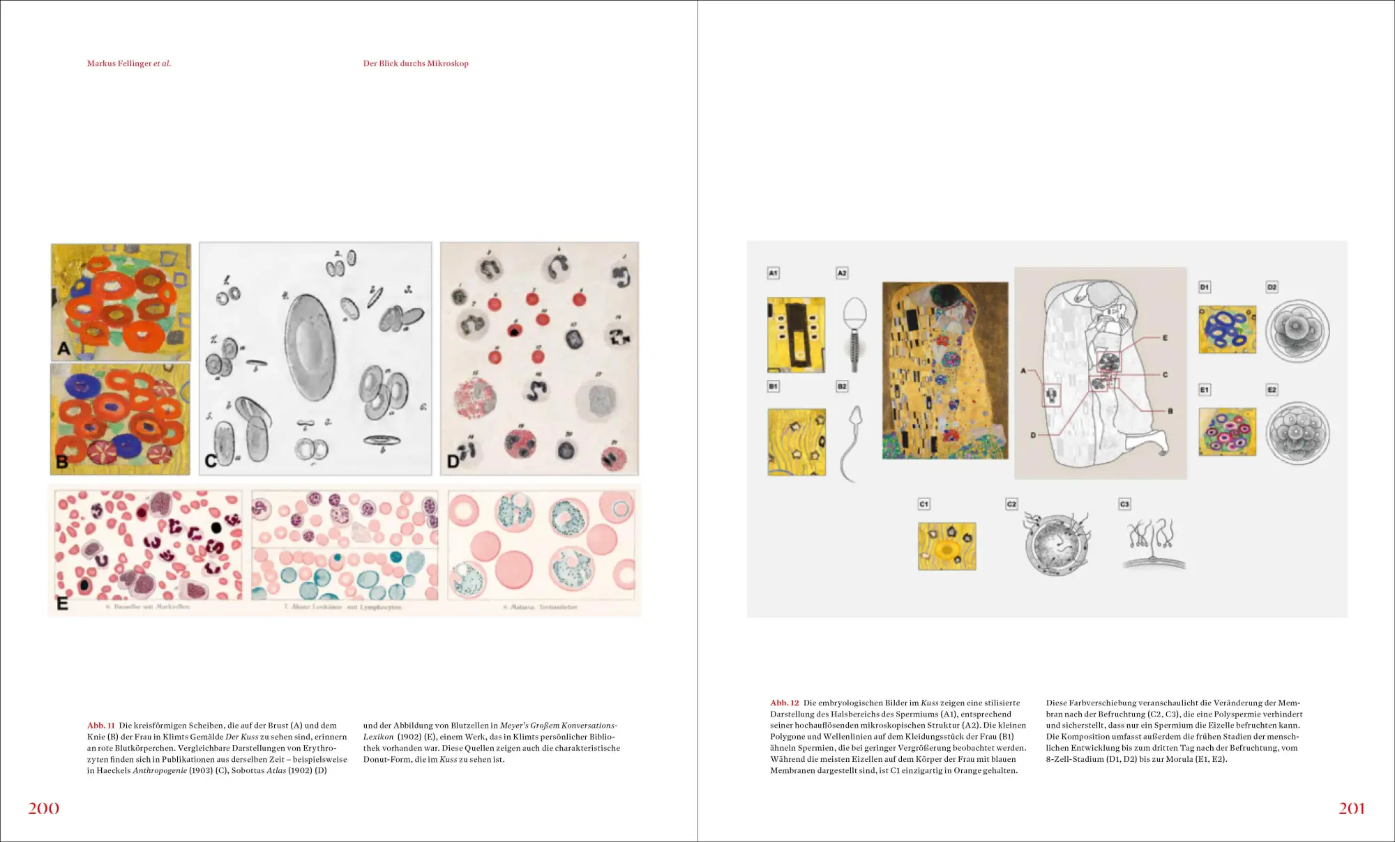 Bild: 9783791394541 | Gustav Klimt und die Medizin | Tobias G. Natter (u. a.) | Buch | 2026