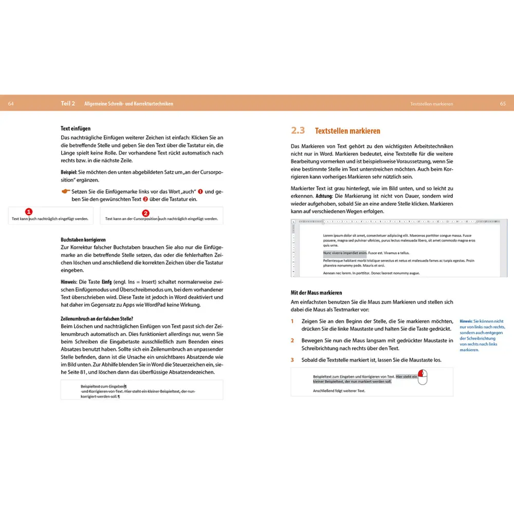 Bild: 9783832804541 | Microsoft Office für Senioren - Word, Excel und PowerPoint | Buch