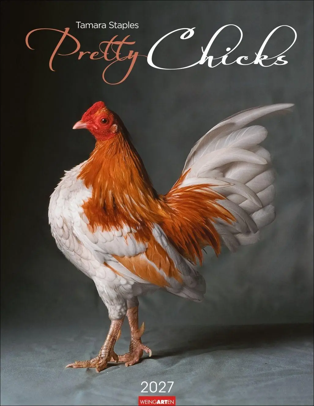Cover: 9783839904541 | Pretty Chicks Kalender 2027 | Tamara Staples | Kalender | 14 S. | 2027