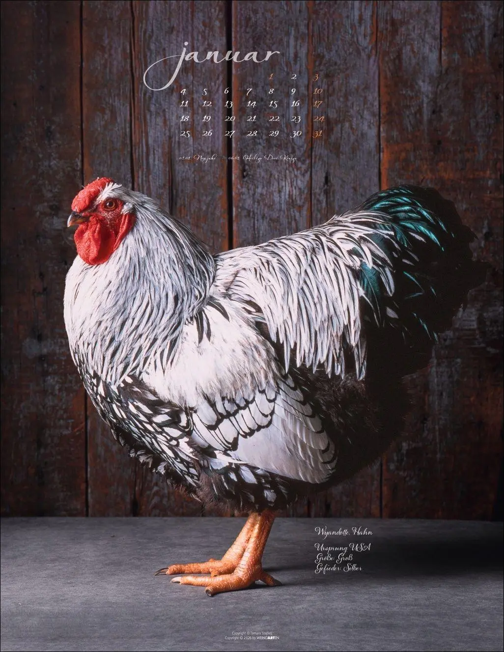 Bild: 9783839904541 | Pretty Chicks Kalender 2027 | Tamara Staples | Kalender | 14 S. | 2027