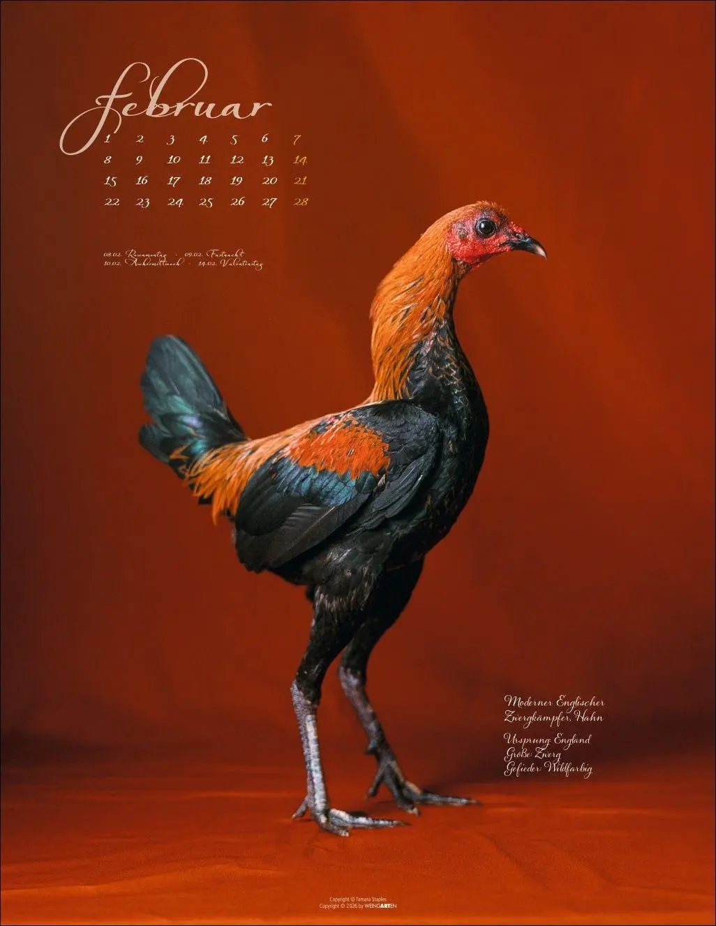 Bild: 9783839904541 | Pretty Chicks Kalender 2027 | Tamara Staples | Kalender | 14 S. | 2027