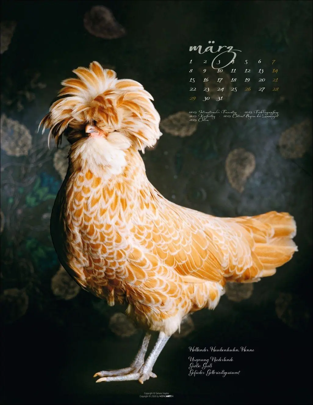 Bild: 9783839904541 | Pretty Chicks Kalender 2027 | Tamara Staples | Kalender | 14 S. | 2027