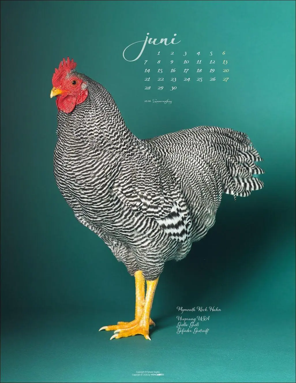 Bild: 9783839904541 | Pretty Chicks Kalender 2027 | Tamara Staples | Kalender | 14 S. | 2027