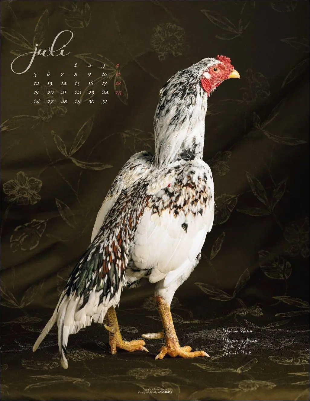 Bild: 9783839904541 | Pretty Chicks Kalender 2027 | Tamara Staples | Kalender | 14 S. | 2027