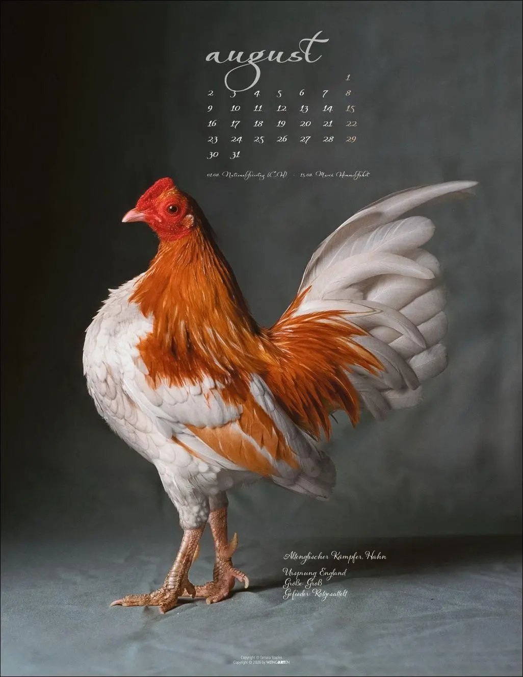 Bild: 9783839904541 | Pretty Chicks Kalender 2027 | Tamara Staples | Kalender | 14 S. | 2027