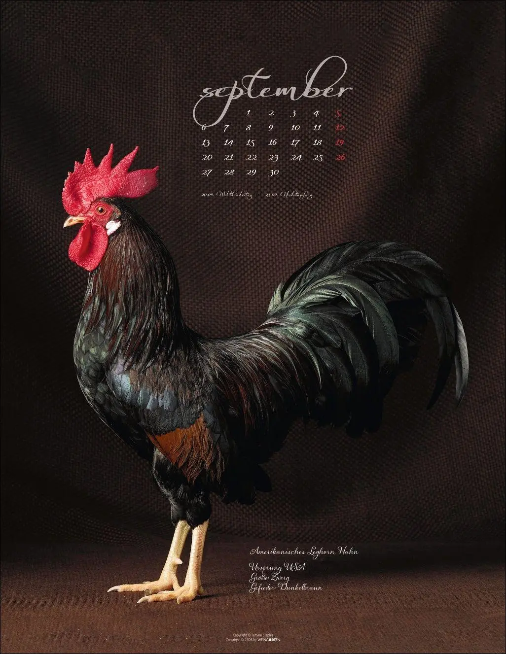 Bild: 9783839904541 | Pretty Chicks Kalender 2027 | Tamara Staples | Kalender | 14 S. | 2027