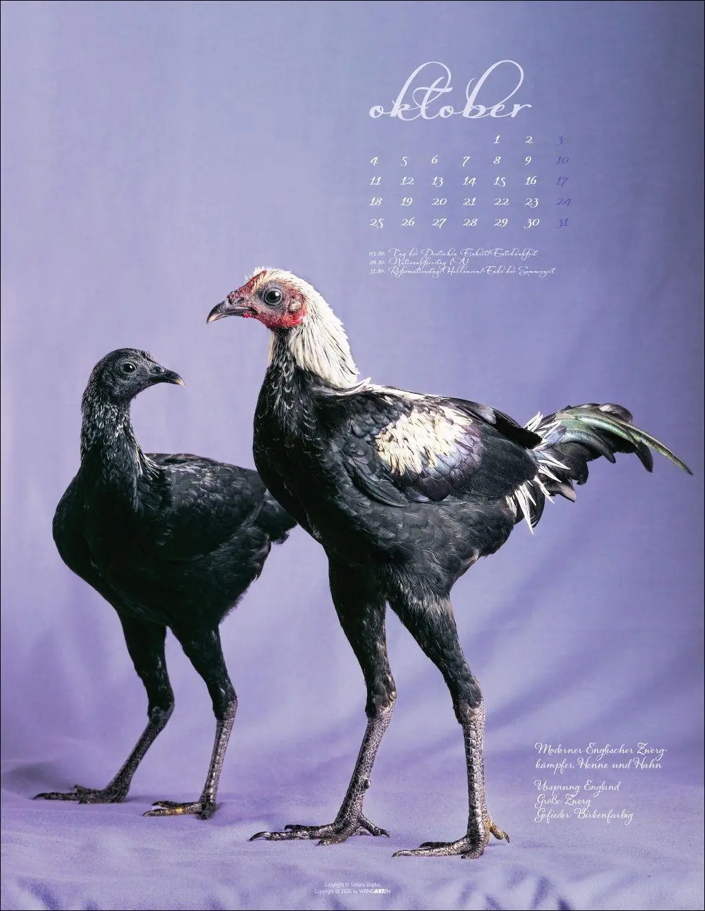 Bild: 9783839904541 | Pretty Chicks Kalender 2027 | Tamara Staples | Kalender | 14 S. | 2027