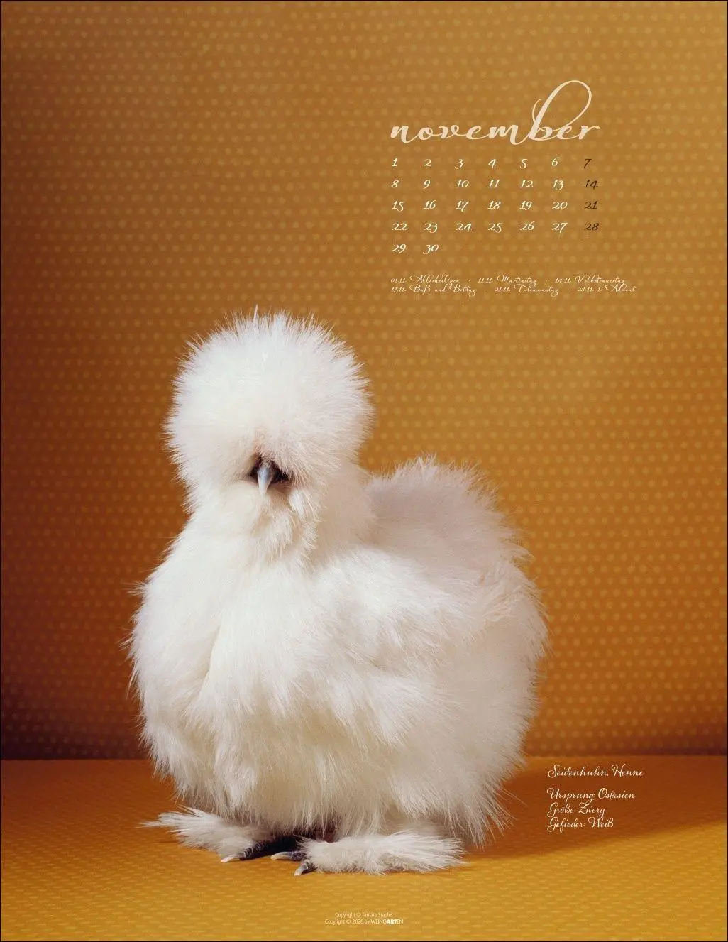 Bild: 9783839904541 | Pretty Chicks Kalender 2027 | Tamara Staples | Kalender | 14 S. | 2027