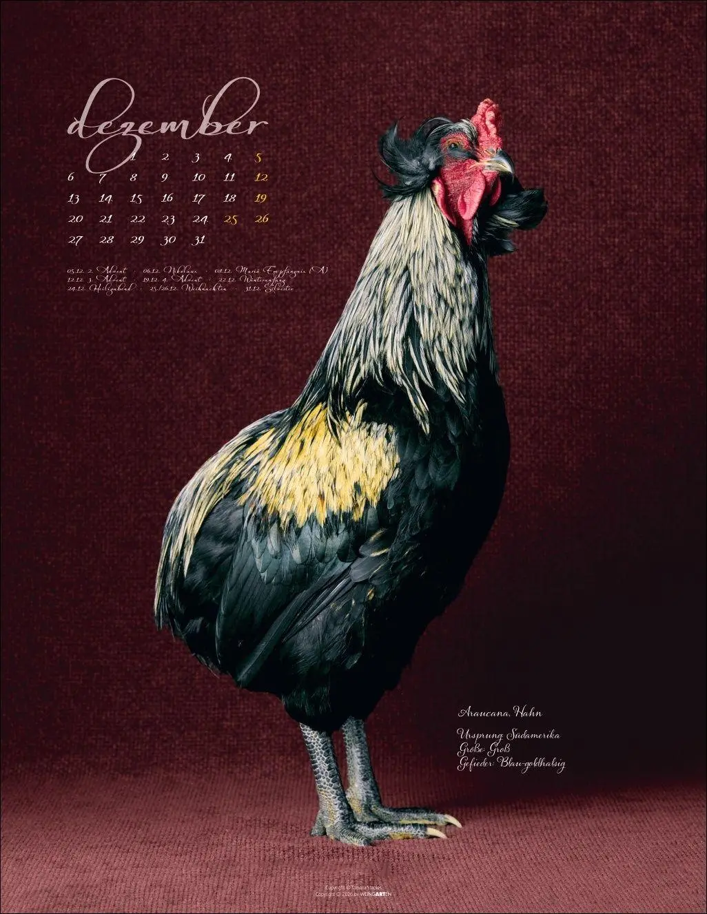 Bild: 9783839904541 | Pretty Chicks Kalender 2027 | Tamara Staples | Kalender | 14 S. | 2027