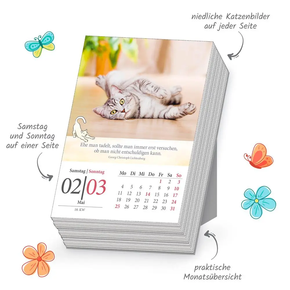 Bild: 9783988024541 | Trötsch Abreißkalender Katzen 2026 | Trötsch Verlag GmbH &amp; Co. KG