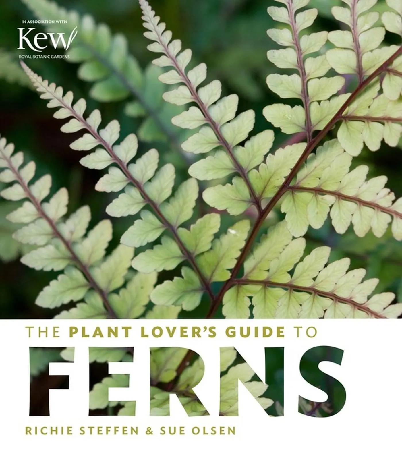 Cover: 9781604694741 | The Plant Lover's Guide to Ferns | Richie Steffen (u. a.) | Buch