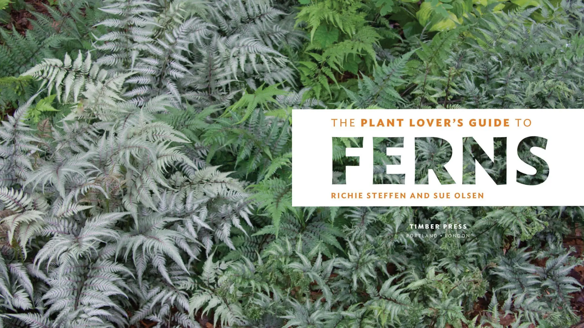 Bild: 9781604694741 | The Plant Lover's Guide to Ferns | Richie Steffen (u. a.) | Buch