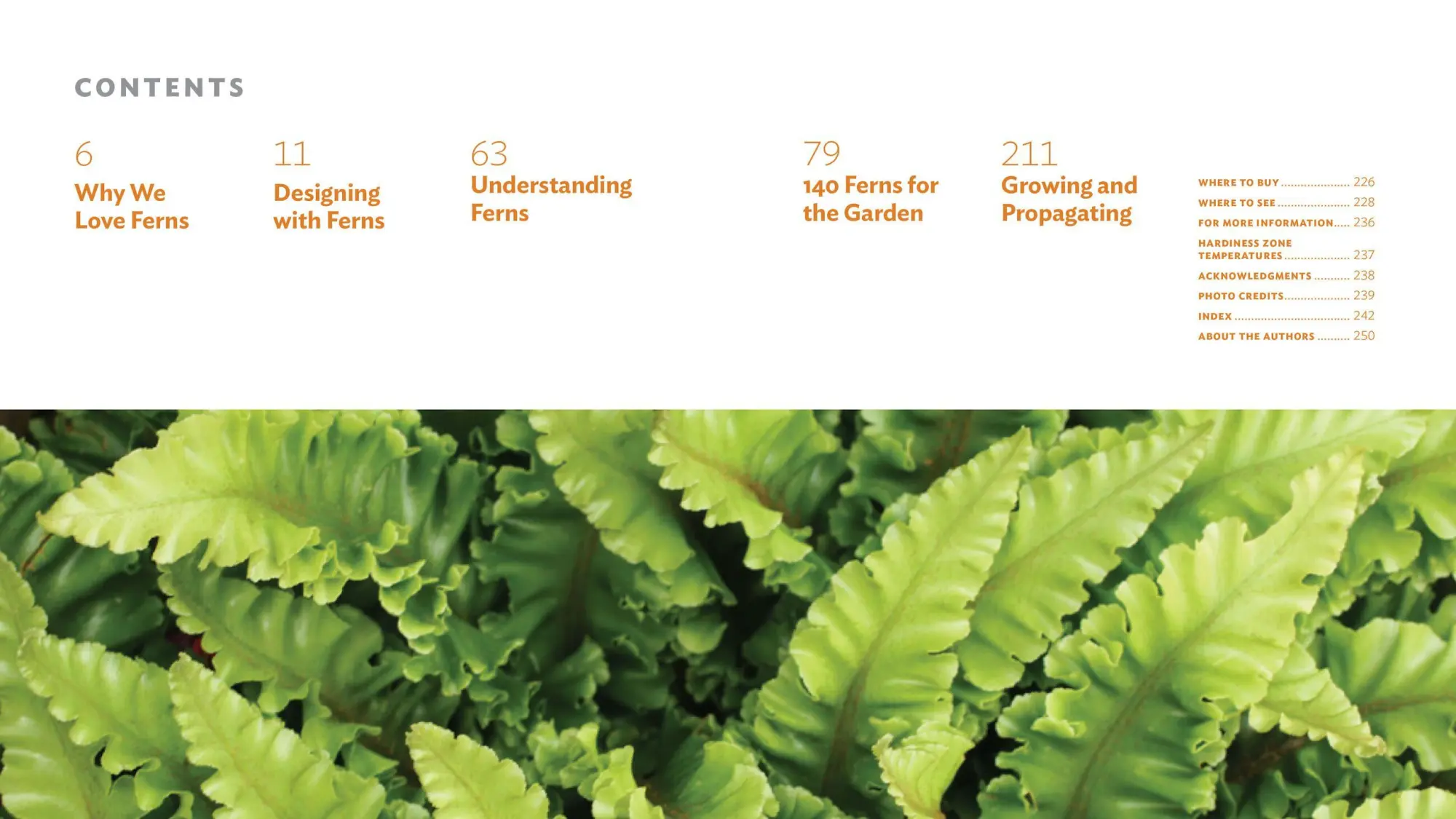 Bild: 9781604694741 | The Plant Lover's Guide to Ferns | Richie Steffen (u. a.) | Buch