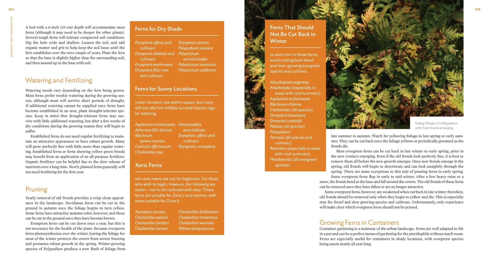 Bild: 9781604694741 | The Plant Lover's Guide to Ferns | Richie Steffen (u. a.) | Buch