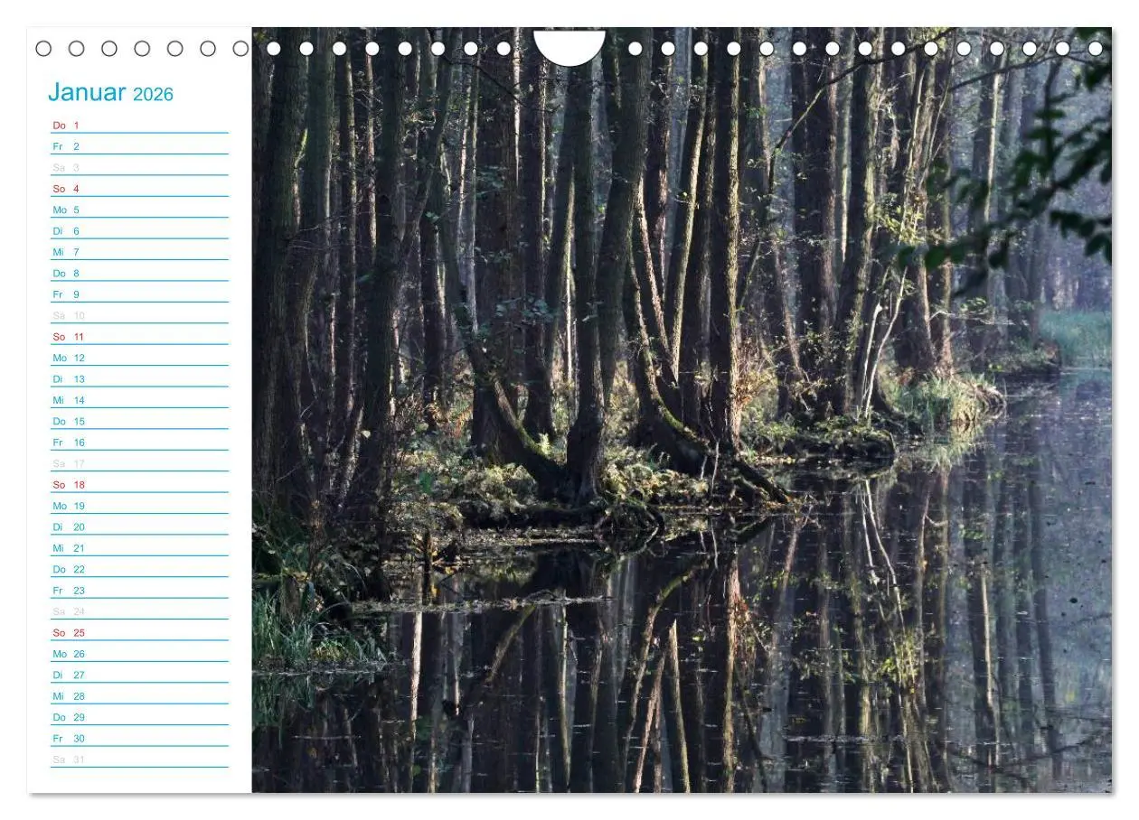 Bild: 9783457984741 | Wunderschöner Spreewald (Wandkalender 2026 DIN A4 quer), CALVENDO...