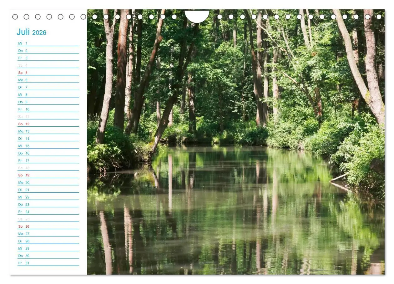 Bild: 9783457984741 | Wunderschöner Spreewald (Wandkalender 2026 DIN A4 quer), CALVENDO...