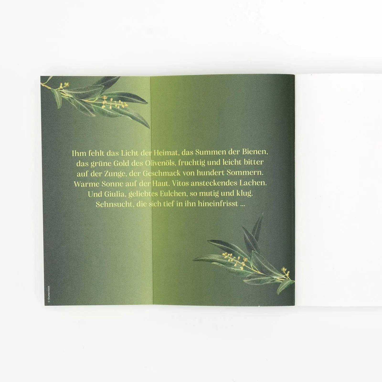Bild: 9783499014741 | Zypressensommer | Teresa Simon | Taschenbuch | 448 S. | Deutsch | 2025