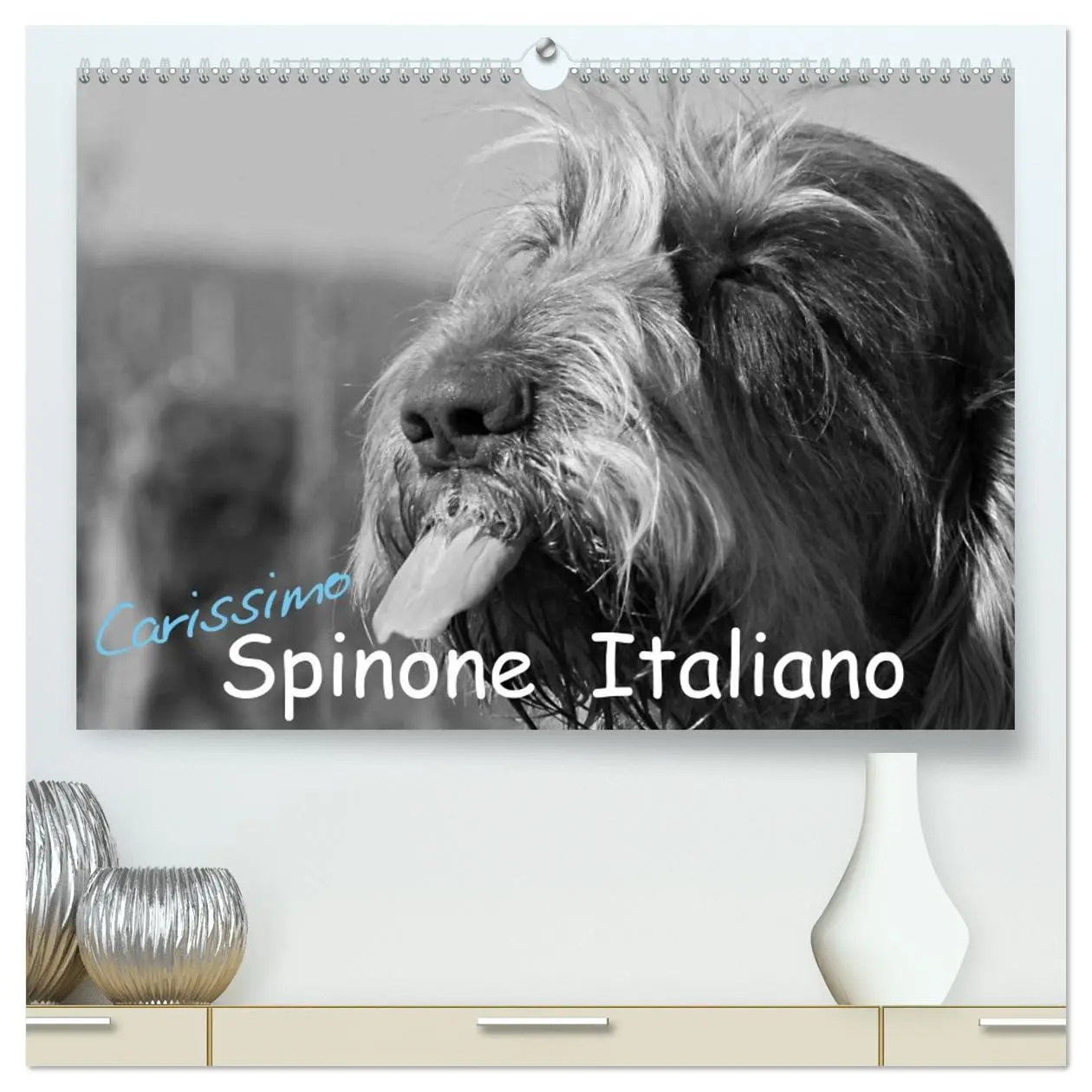 Cover: 9783516074741 | Carissimo Spinone Italiano (hochwertiger Premium Wandkalender 2026...