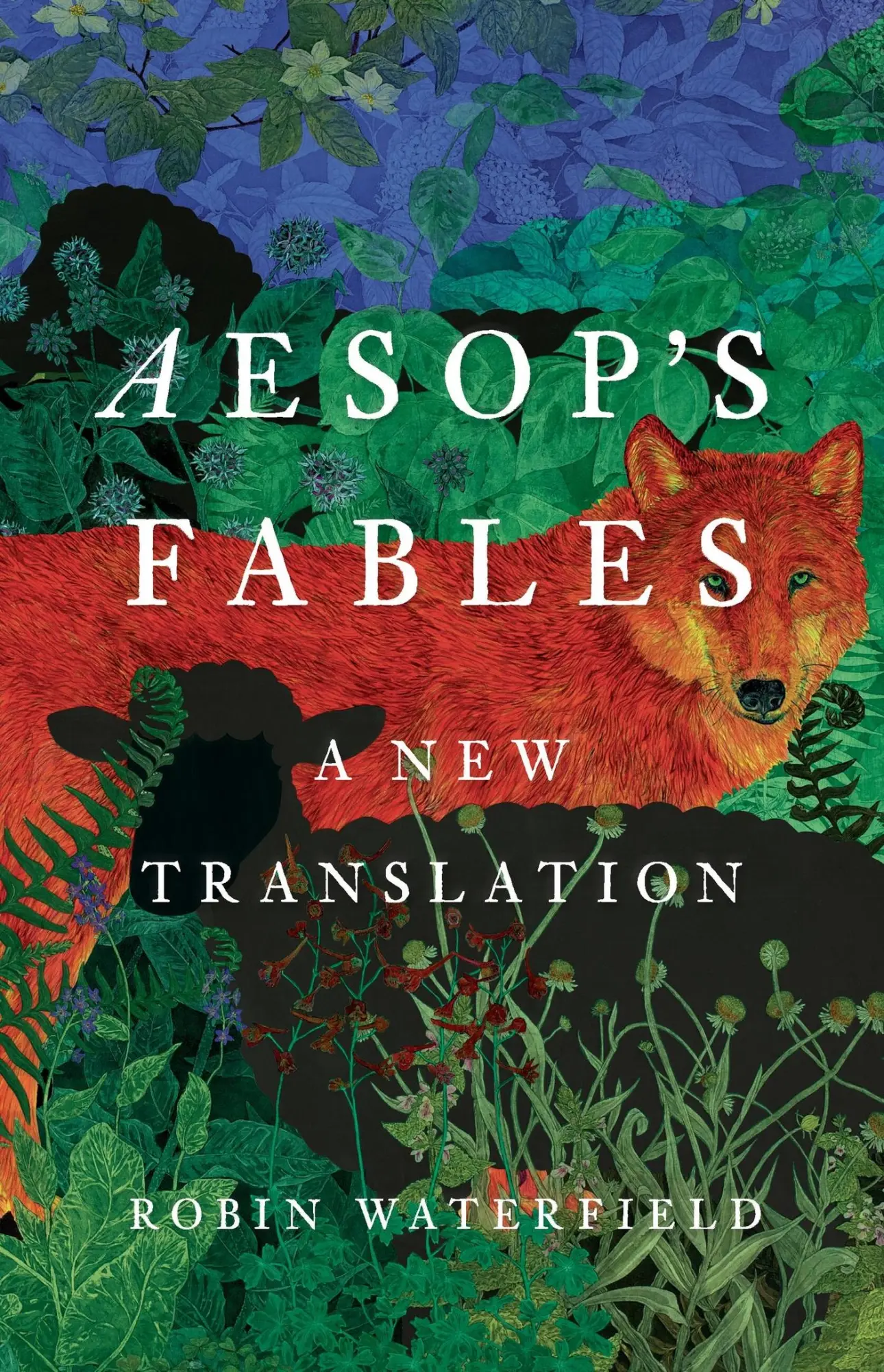Cover: 9781541604841 | Aesop's Fables | A New Translation | Aesop | Buch | Gebunden | 2024