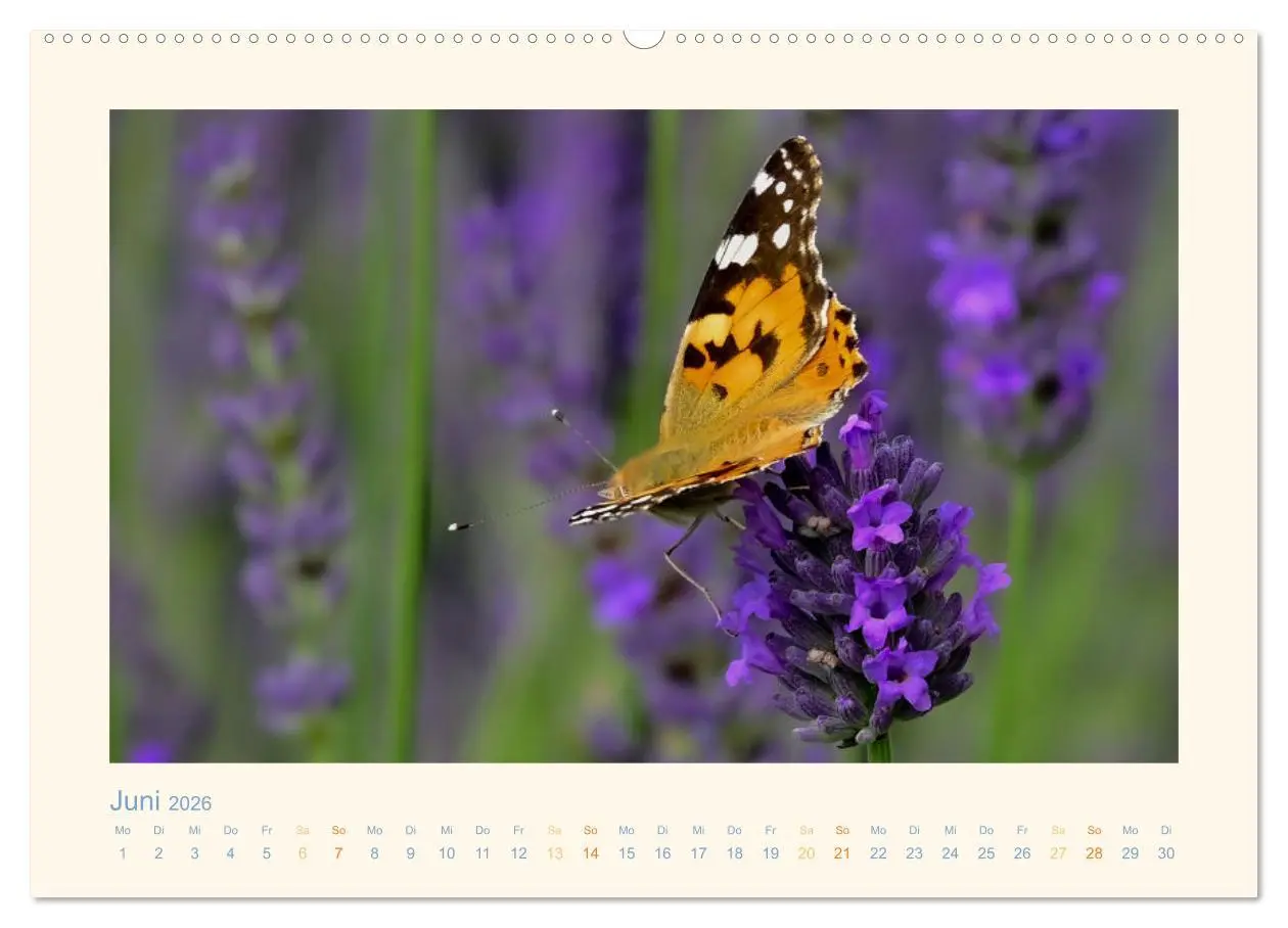 Bild: 9783457424841 | Wunderschönes Werdener Land 2026 (Wandkalender 2026 DIN A2 quer),...