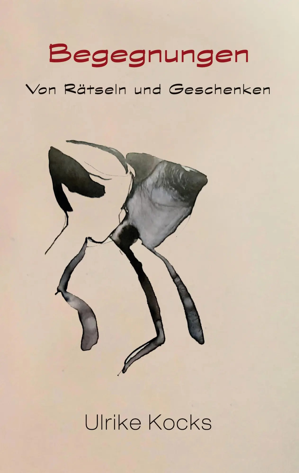 Cover: 9783769374841 | Begegnungen - Von Rätseln und Geschenken | Von Rätseln und Geschenken