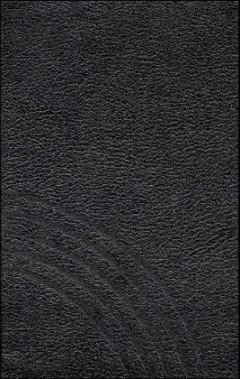 Cover: 9783374014941 | Evangelisches Gesangbuch. Ausgabe für die Evangelisch-Lutherische...