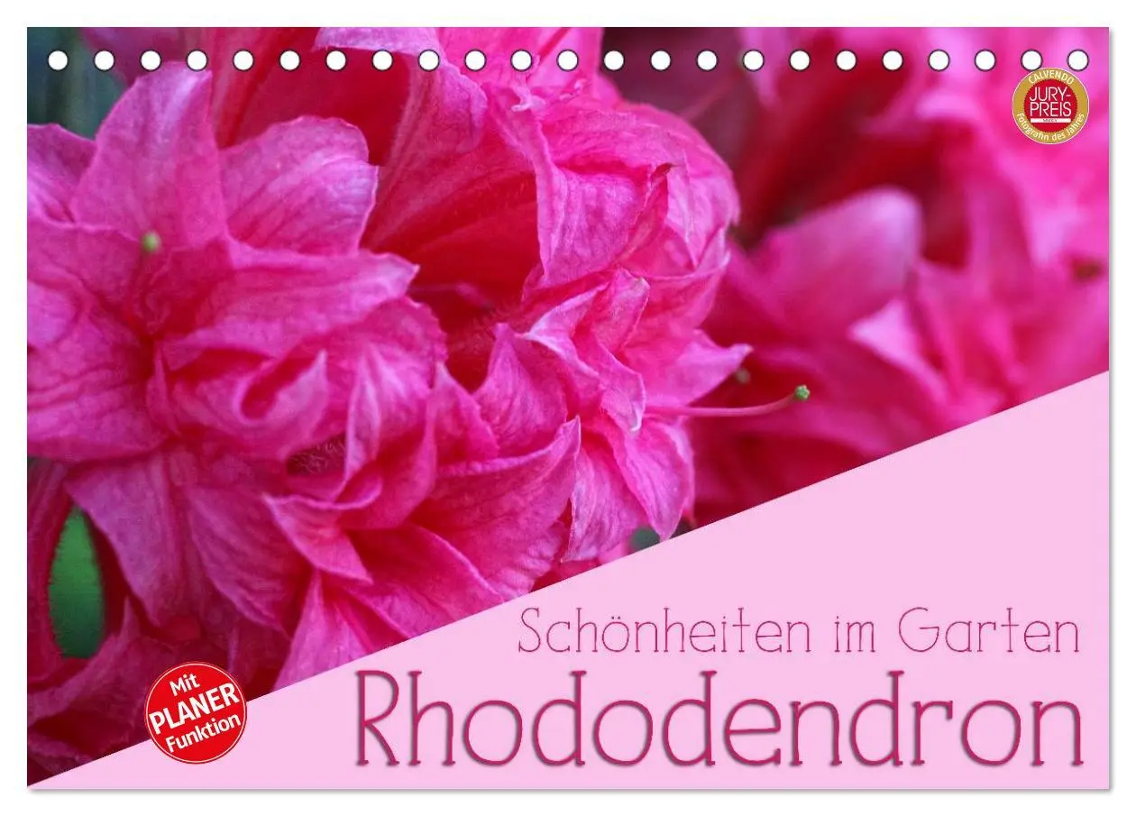 Cover: 9783457964941 | Rhododendron Schönheiten im Garten (Tischkalender 2026 DIN A5...